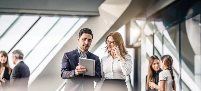 Business Advisor